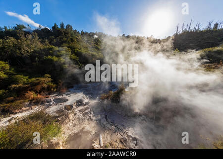 Orakei Korako Geothermal Park, Taupo Volcanic Zone, North Island, New Zealand Stock Photo