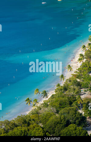 Aerial view of palm trees growing at Magens bay beach, St. Thomas, US Virgin islands Stock Photo