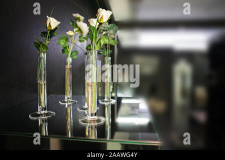 White roses in glass vases on the table in the evening interior Stock Photo