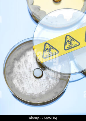 High angle view of drug testing in petri dishes at laboratory Stock Photo