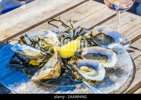 Netherlands, Zeeland, Yerseke, Fine de Claire oysters Stock Photo