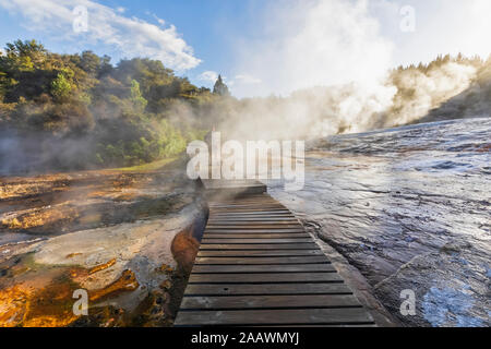 Tourist on wooden boardwalk, Emerald Terrace, Orakei Korako Geothermal Park, Taupo Volcanic Zone, North Island, New Zealand Stock Photo