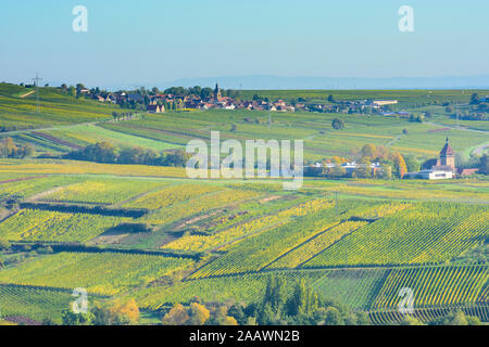Frankweiler: vineyard, view to village Frankweiler in Weinstraße, German Wine Route, Rheinland-Pfalz, Rhineland-Palatinate, Germany Stock Photo