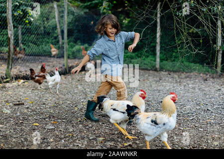 Boy chasing chickens on an organic farm Stock Photo