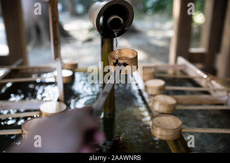 Young woman catching water for the ritual of hand washing in a Tokyo temple, Japan Stock Photo