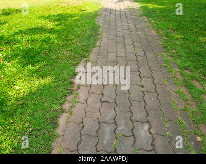 The walkway in the park under the shade of tree Stock Photo