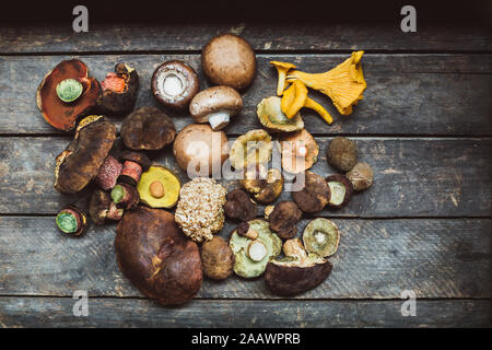 Directly above shot of various mushrooms on wooden table Stock Photo