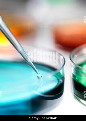 Close-up of samples pipetting in petri dish containing agar jelly for experiment at laboratory Stock Photo