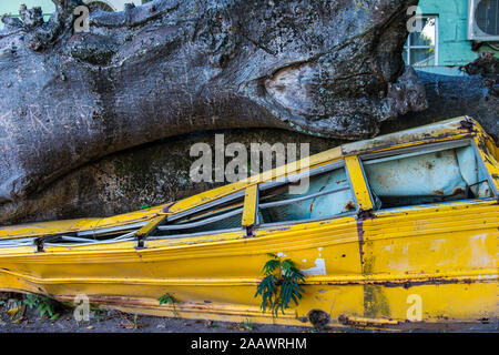 abandoned school bus crushed under tree trunk in botanical garden, Roseau, Dominica Stock Photo