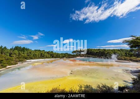 Artist´s Palette, Wai-O-Tapu Thermal Wonderland, Taupo Volcanic Zone, North Island, New Zealand Stock Photo