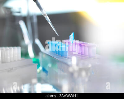 Samples being poured in test tube for research at laboratory Stock Photo