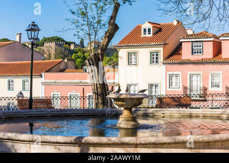 Pigeons perching at water fountain in Lisbon, Portugal Stock Photo