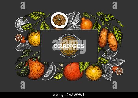 Citrus design template. Hand drawn vector color fruit illustration on dark background. Retro citrus banner. Stock Vector
