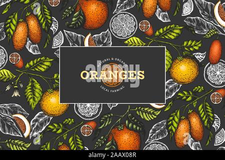 Citrus design template. Hand drawn vector color fruit illustration on dark background. Retro citrus banner. Stock Vector