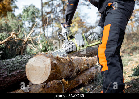 Lumberjack in protective workwear cutting lying tree with a chainsaw in the forest, close-up on the cutting process. Concept of a professional logging Stock Photo