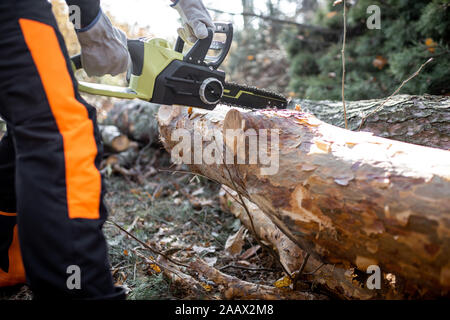 Lumberjack in protective workwear cutting lying tree with a chainsaw in the forest, close-up on the cutting process. Concept of a professional logging Stock Photo