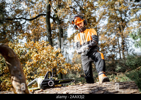 Professional lumberman wearing protective workwear while preparing for logging work in the pine forest Stock Photo