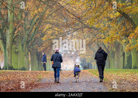 Northamptpon UK, 24th November 2019,  A damp milder morning in Abington Park for people on there sunday morning walk getting in some exercise while walking the dogs Cridit: Keith J Smith/Alamy Live News. Stock Photo