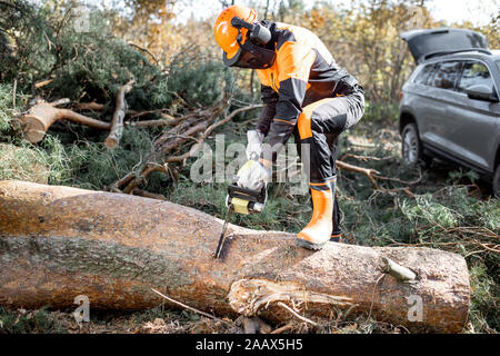 Professional lumberman in protective workwear sawing a tree trunk in the forest with his SUV car on the background Stock Photo