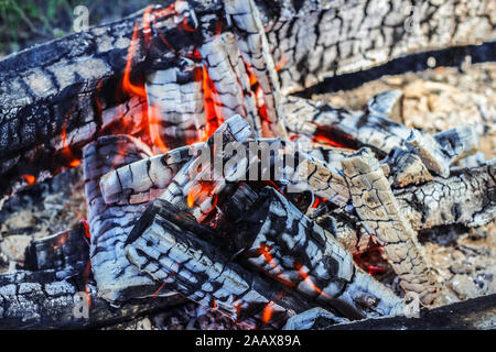 Burning coals in a fire close up Stock Photo