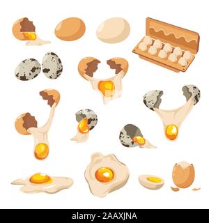 Eggs of chicken and quail, cracked shell and yolk isolated icons Stock Vector