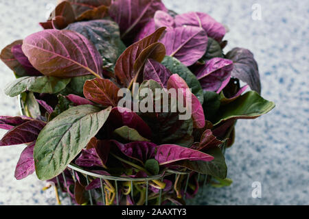 Red spinach leaves in a  steel colander, amaranth plant foliage in a metallic basket on kitchen background, copy space, close up, organic food and veg