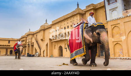 Panorama of elephants at the Amber Fort in Jaipur, India Stock Photo