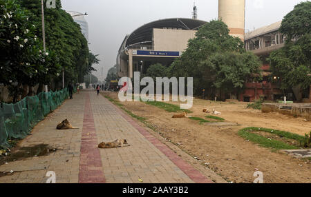 Sleeping dogs on a patch of wasteland approaching the Sector 3 rapid metro station in Gurgaon, Haryana, India Stock Photo