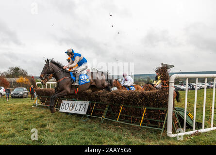 Ballynoe, Cork, Ireland. 24th November, 2019.  Horses and riders take the last fence in the first race at the Point to Point meeting that was held on the lands of the Mulcahy family at Boulta, Ballynoe, Co. Cork, Ireland.- Credit; David Creedon / Alamy Live News Stock Photo