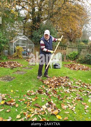 Man raking leaves in the garden on an autumn day Stock Photo