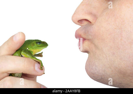 Frosch wird gekuesst | kissing a frog | BLWS075355.jpg [ (c) blickwinkel/fotototo Tel. +49 (0)2302-2793220, E-mail: info@blickwinkel.de, Internet: www Stock Photo