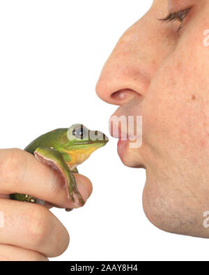 Frosch wird gekuesst | kissing a frog | BLWS075357.jpg [ (c) blickwinkel/fotototo Tel. +49 (0)2302-2793220, E-mail: info@blickwinkel.de, Internet: www Stock Photo