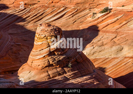 On the northern Arizona Kaibab Plateau near Coyote Buttes, early morning sun lights up a conical shaped tower of striated sandstone. Stock Photo