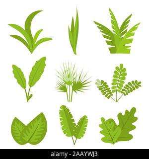Plants, leaves, branches, bushes and pots set Flat vector illustration Stock Vector