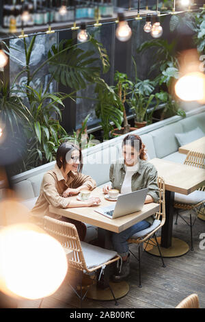 High angle portrait of two young women working together sitting at table in outdoor cafe terrace decorated with plats, copy space Stock Photo