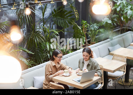 High angle portrait of two young women looking at laptop screen while enjoying coffee in outdoor cafe terrace decorated with plats, copy space Stock Photo