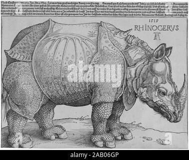 Dürer's Rhinoceros, by Albrecht Dürer  (1515) Dürer's Rhinoceros is the name commonly given to a woodcut executed by German painter and printmaker Albrecht Dürer in 1515 Stock Photo