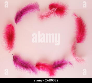 Red colored feathers frame on pink background for Fastelavn celebration Stock Photo