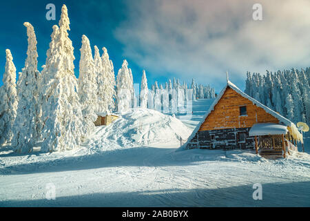 Picturesque winter landscape after blizzard with snow covered pine trees. Ski slopes and cute wooden house in Poiana Brasov ski resort, Transylvania, Stock Photo