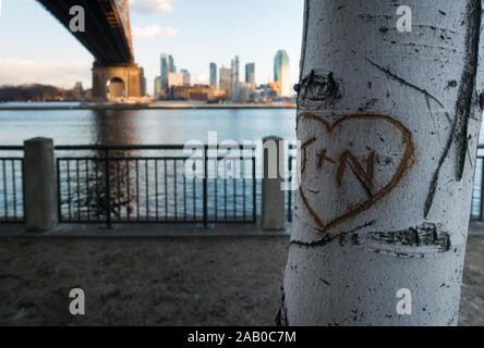 Carved heart and initials as symbol of love in birch tree with Queensboro bridge and skyscrapers in background. East river visible, sunset slowly fall Stock Photo