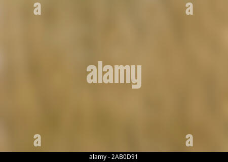 Wavy shaded blurry beige background Stock Photo