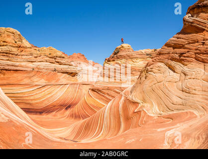 Man standing atop large sandstone dome above eh famous Wave feature of Arizona. Hiker and climber standing on summit. Stock Photo