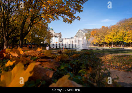 Sunny autumn day in Jubilee Park or Parc du Cinquantenaire, Brussels. Colorful leaves on the ground and the Triumphal Arch visible in the background. Stock Photo