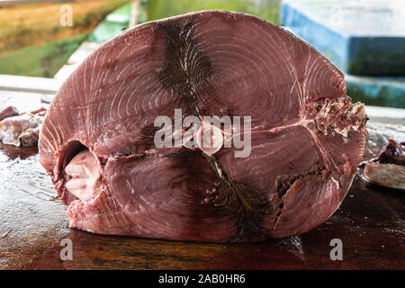 Carcass of sliced bluefin tuna on the table. Close-up. Stock Photo
