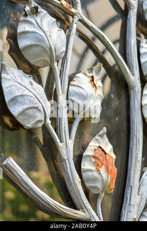 Fragment of glass covered decorative lattice with branches and leaves. Detail of old wrought iron fence with plant elements with peeling white paint a Stock Photo