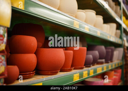Flower pots on the shelf, shop for floristry Stock Photo