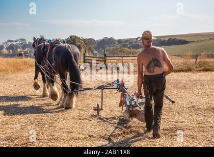 2019-09-21, Sussex, UK: Ploughman and his horses compete in a Heavy Horse Ploughing Match. Stock Photo