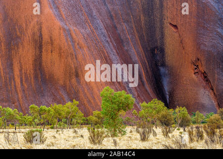 Uluru, Northern Territory, Australia - 24 Sep 19: Uluru (Ayres Rock) in the rain after a long drought. Stock Photo