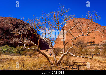 Olgas, Kata-Tjuta National Park, Northern Territory, Australia - 22 Sep 19: Walpa Gorge Walk through the Olgas is an iconic part of outback Australia. Stock Photo