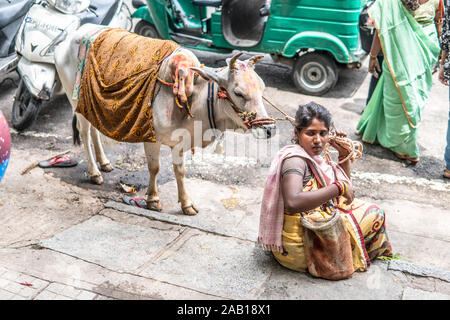 Bangalore, India, 2018 streets of Bengaluru city, Indian Hindu beggar young woman with a holy cow asking people, tourists for money, financial support Stock Photo